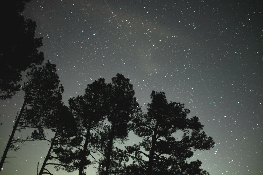 DSCF6064-Enhanced-NR